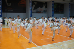 398023468_2071445316523341_4733948471795618245_n