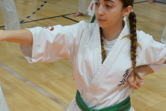 398824455_2071445159856690_2713831108172834315_n