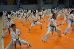 398843829_2071445219856684_8390428805684995159_n