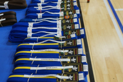 398844318_2071445043190035_7479625687599448634_n