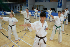 398849033_2071444499856756_4010565799777564798_n