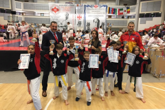 45997366_753172681683951_3595294673687543808_n