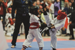 46173069_755070498160836_3399762074174226432_n