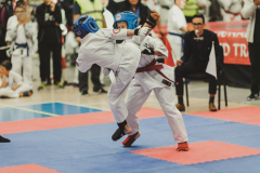 46173984_755070788160807_7366302511063367680_n