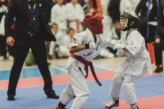 46196168_755070381494181_3524755548157247488_n