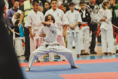 46201579_755069854827567_8673991169316749312_n