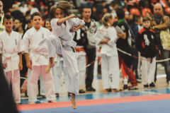 46202277_755069841494235_1937226487551754240_n