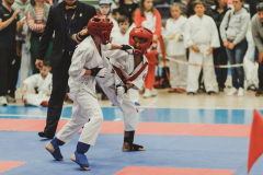 46234480_755070288160857_5963315232955695104_n