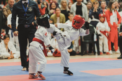 46250290_755070908160795_4207242348461031424_n