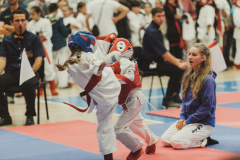 46257194_755070731494146_7079298945075118080_n