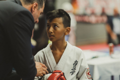 46264330_755070258160860_465838384921706496_n