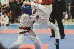 46287504_755070161494203_7466447902726946816_n