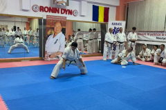 401104801_2075315176136355_8466389099623065267_n