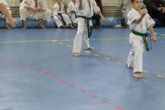 46362145_757650247902861_8658717672906686464_n