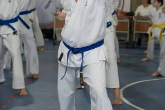 46382816_757649591236260_7852894517261762560_n