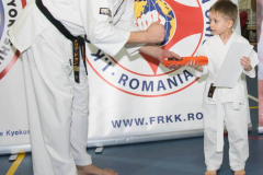 46389734_757615607906325_6663812132506697728_n