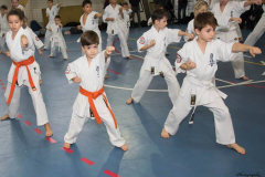 46439086_757603821240837_2298276891745845248_n