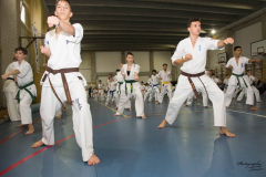 46441787_757604371240782_659943371665571840_n