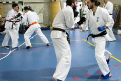 46460825_757618757906010_421892137815113728_n