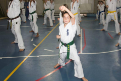 46463257_757603737907512_1970307326392926208_n