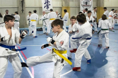 46463332_757604424574110_6202864959420891136_n