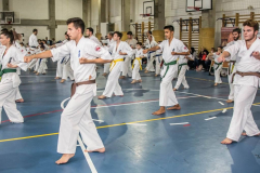 46467807_757604184574134_83507968259129344_n