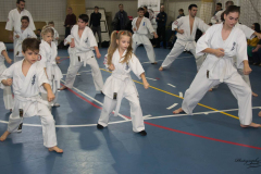 46468093_757603871240832_679045161405120512_n