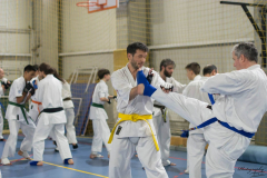 46469326_757650367902849_1951390774297886720_n