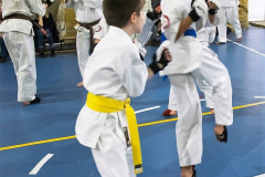 46471878_757604481240771_1275077074654068736_n