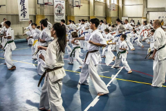 46473260_757604661240753_3591443599851520000_n