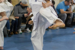 46473947_757649354569617_3744050861689536512_n