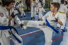 46479395_757604854574067_2759176480888979456_n