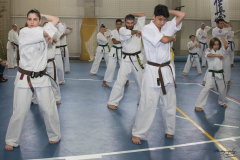 46488498_757603571240862_2914197106325454848_n