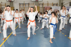 46488627_757604044574148_2693052560264134656_n