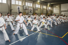 46491899_757603671240852_4801310035726565376_n