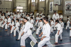 46492499_757603661240853_3563248294899482624_n