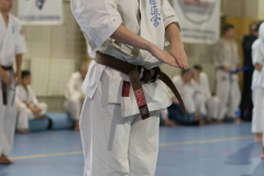 46492695_757649991236220_5810095998407540736_n