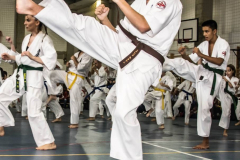 46492779_757604311240788_3217744817618419712_n