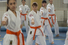 46523610_757649707902915_7077269173595799552_n