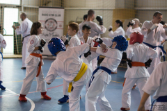 32597009_623147538019800_5083139630706982912_n