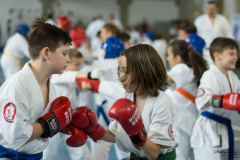 32945183_623147181353169_2008944886547480576_n