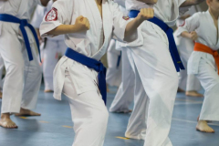 32955248_623146594686561_1978663601879121920_n