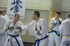 32956673_623147301353157_1691960511802900480_n