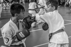 33036589_623145674686653_3486829896011874304_n