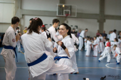 33040805_623146971353190_5873504086657073152_n