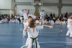 33079140_623146724686548_366647571214499840_n