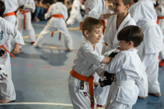 33097367_623147354686485_6663863427301113856_n