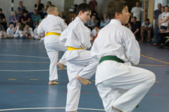 33170168_623146731353214_5643908118699048960_n