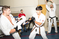 75653299_1009029619431588_1178438755715907584_n