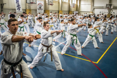 76936853_1008116319522918_310918227360219136_n